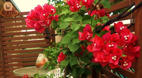 Gaia On Bribie Island - Events Australia 26