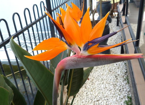 Gaia On Bribie Island - Events Australia 24