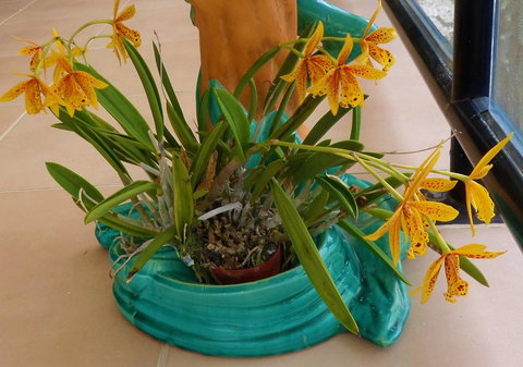 Gaia On Bribie Island - Events Australia 44