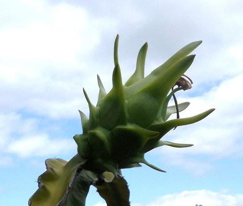 Gaia On Bribie Island - Events Australia 22