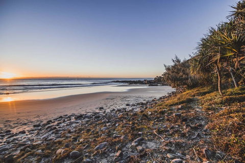 The Point Coolum - Tourism Bookings 4