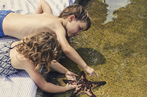 Daydream Island Resort - Tourism Bookings 33