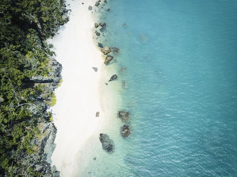 Daydream Island Resort - Tourism Bookings 41