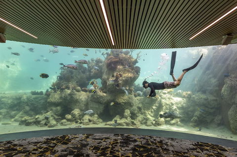 Daydream Island Resort - Tourism Bookings 28