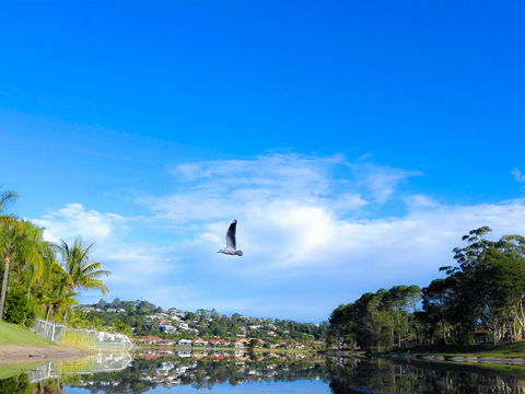 Bay Of Palms - Events Australia 18