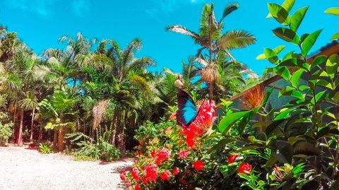 Boutique Bungalows - Tourism Bookings 14