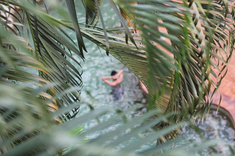 Coral Tree Inn - Tourism Bookings 36