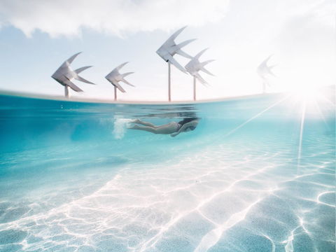 Coral Tree Inn - Tourism Bookings 39