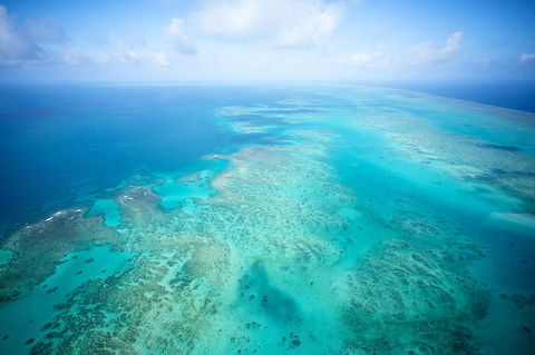 Coral Tree Inn - Tourism Bookings 37