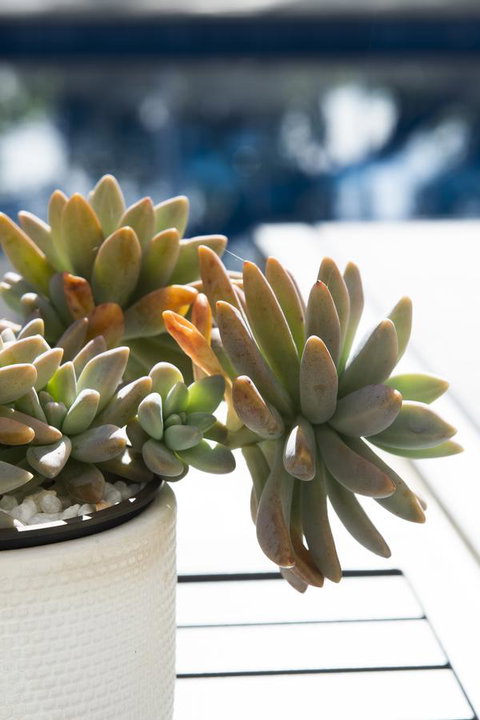 SandCastles Noosa - Events Australia 22