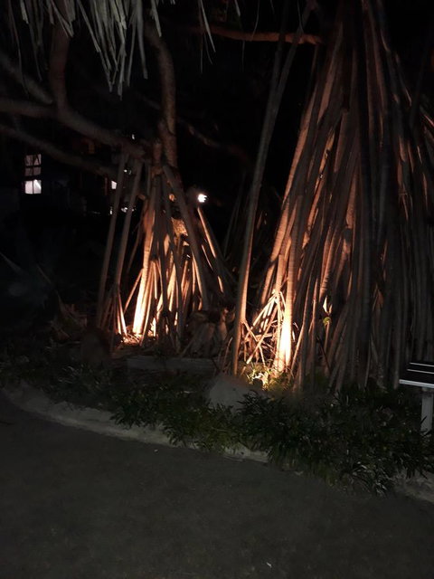 Pandanus Coolum Beach - Tourism Bookings 10