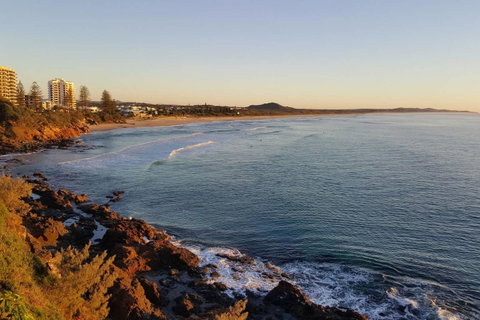 Beautiful Home- Walk To Beach-Short Drive To Noosa - Tourism Bookings 9