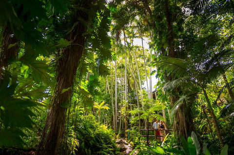 Cairns Colonial Club Resort - Tourism Bookings 22