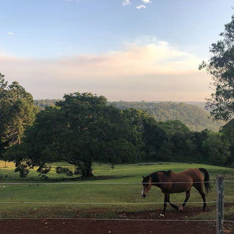 Montville Holiday Apartments - Tourism Bookings 3