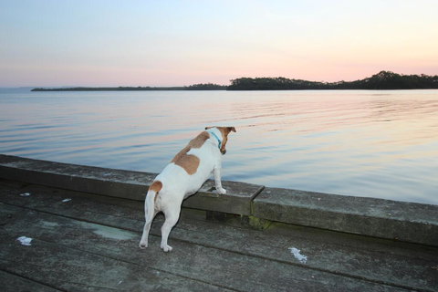 Wheelhouse Apartments - Accommodation Europe 2