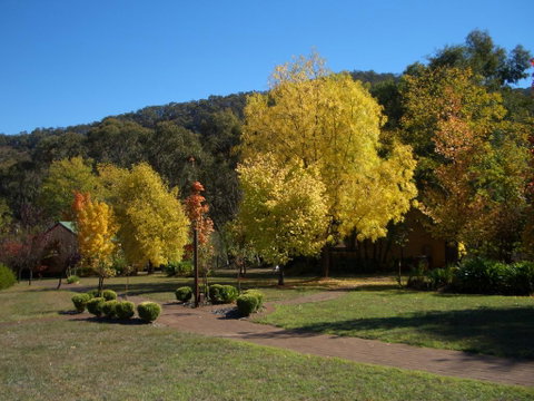 Willowlake Cottages - Tourism Bookings 0