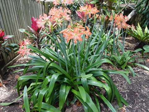 Winston Cottage - Events Australia 2