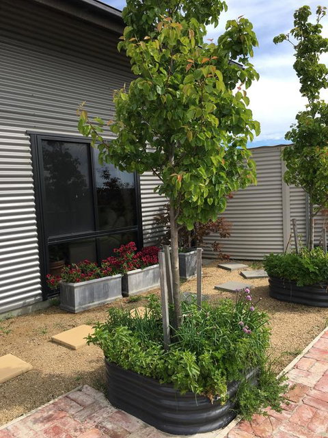 Woolamai Dreaming - Events Australia 2