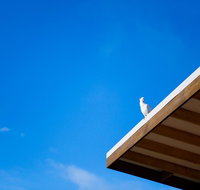 Wye Not Escape - Events Australia