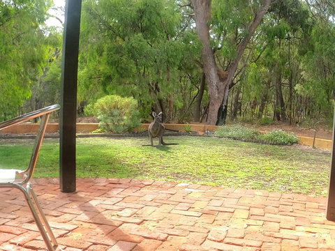 Yallingup Pet Friendly Bush Retreat - Events Australia 3