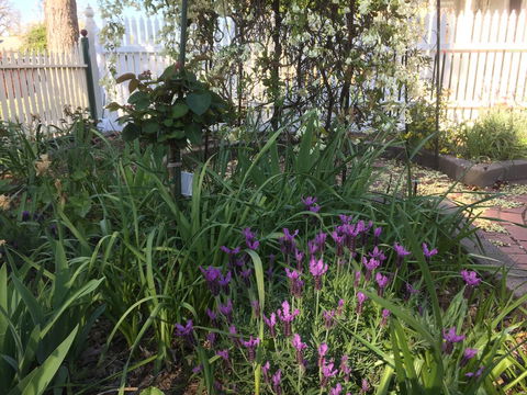 Yapera On Lucan - Tourism Bookings 2