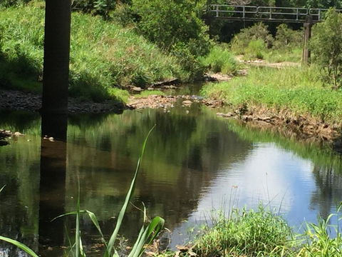 Yandina Caravan Park - Accommodation Europe 2