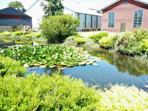 Yarragon Dairy Family Room - Tourism Bookings 1