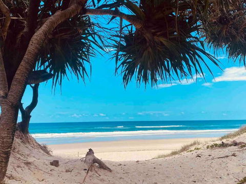 20 Steps - Beachfront Home - Stunning & Stylish - North Of Byron - Tourism Bookings 3