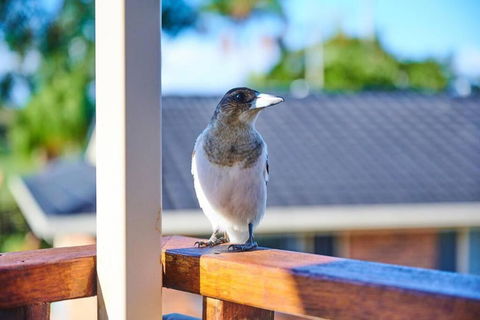 A Kids Dream & Paradise For Parents - Events Australia 2