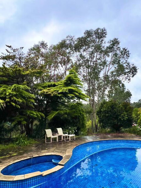 A Lovely Pool House In Forest - Events Australia 2