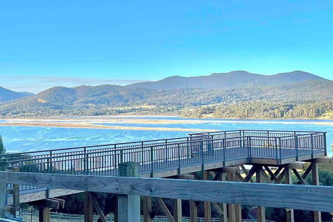 Alto Franklin - Events Australia 1