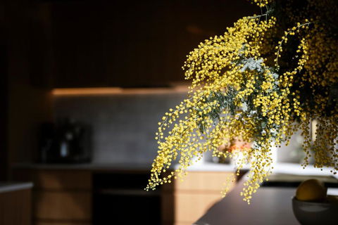 Architectural Gem In Central Red Hill - Events Australia 2