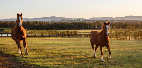 Argentille Boutique Accommodation - Events Australia 1