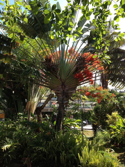 Port Douglas Apartments - Adults Only Oasis - Tourism Bookings 39