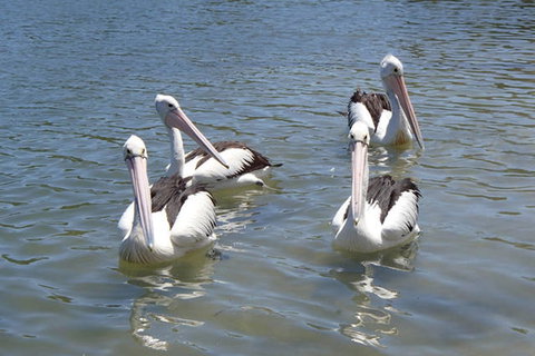 Keith's Sister - Events Australia 42