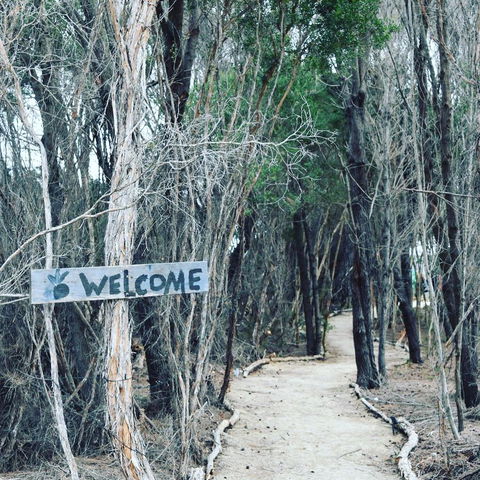 Flinders Island Glamping - Events Australia 0