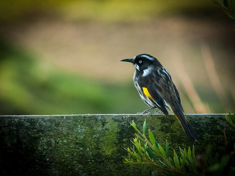 Parnella Adventure Bay, Bruny Island - Events Australia 21