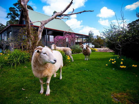 Parnella Adventure Bay, Bruny Island - Events Australia 19