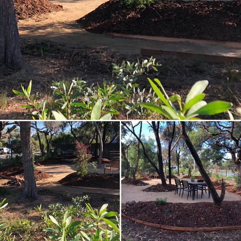 'Carinya' Coastal Cottage - Events Australia 3