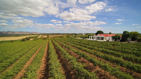 1837 Barossa Luxury Vineyard Cottages - Events Australia 0