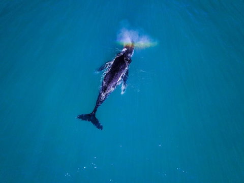 27 Degrees Kalbarri - Tourism Bookings 1