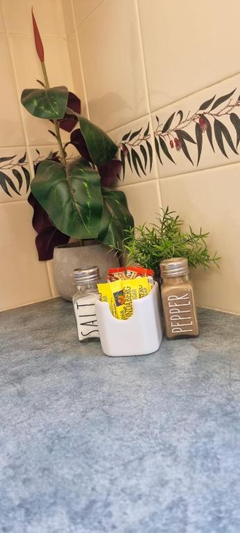 Blackall Caravan Park - Events Australia 4