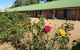 Bridge Motel Wellington - thumb 3