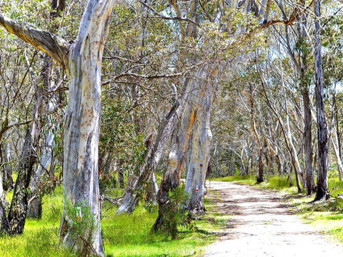 Cabin 3 - Snowy Accommodation - Events Australia 1