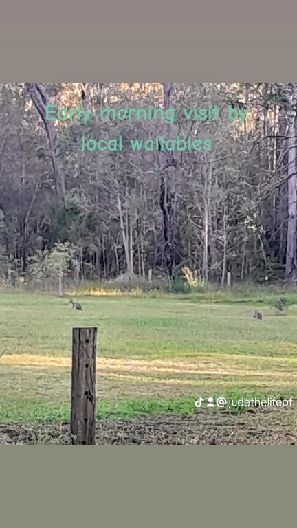 Caravan Capers - Events Australia 1