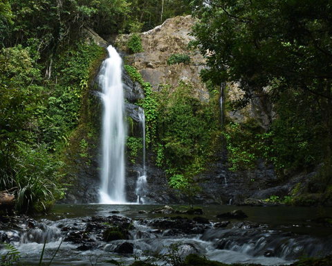 Cassowary Falls Gateway Daintree - Events Australia 3