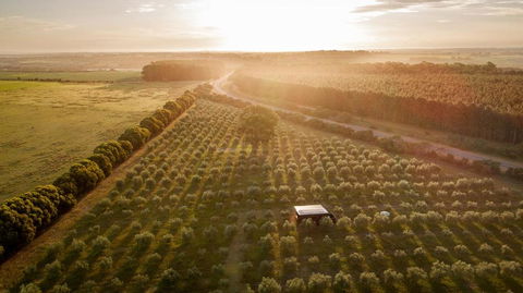 Cate The Tiny Cabin In Esperance - Events Australia 2