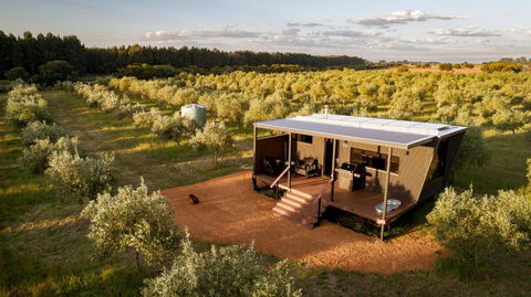 Cate The Tiny Cabin In Esperance - Events Australia 0