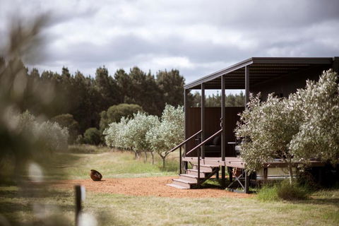 Cate The Tiny Cabin In Esperance - Events Australia 3