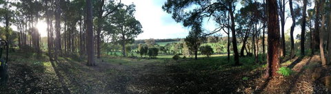 Chandeliers On Abbey - Events Australia 0